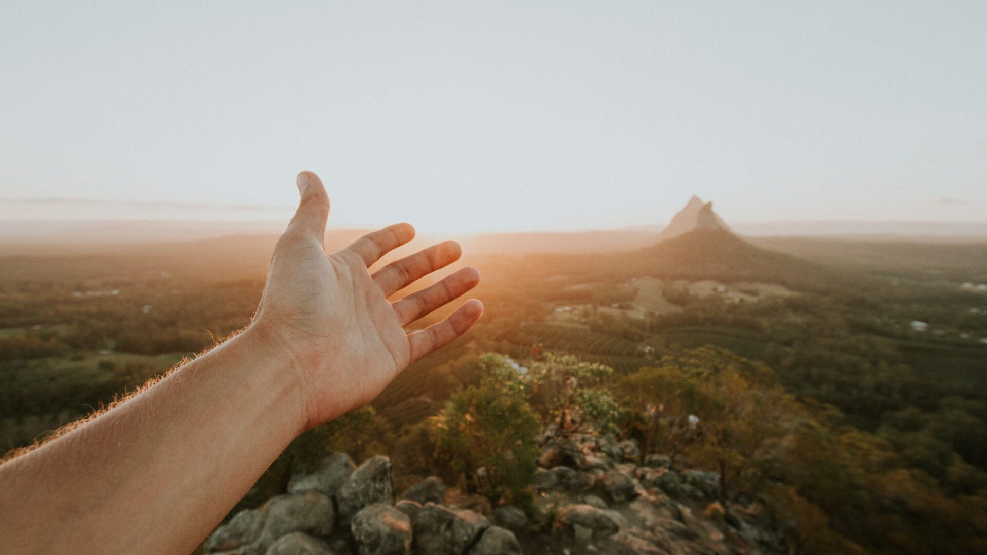 cropped-cody-board-jORYUUvgfpA-unsplash.jpg