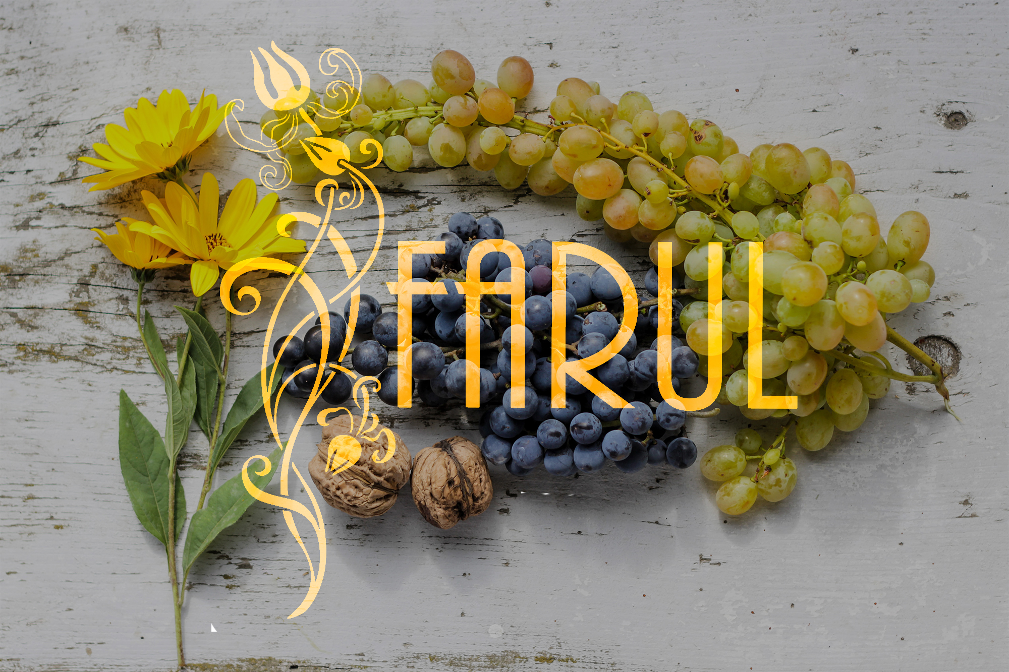 farul-web-top-1a