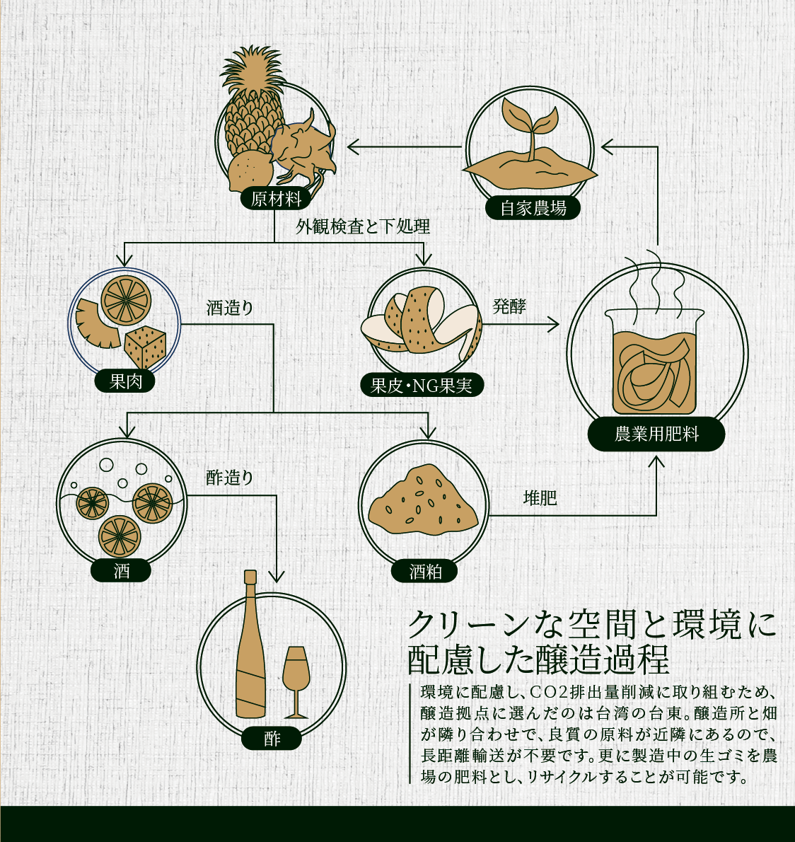 醸造過程_V3