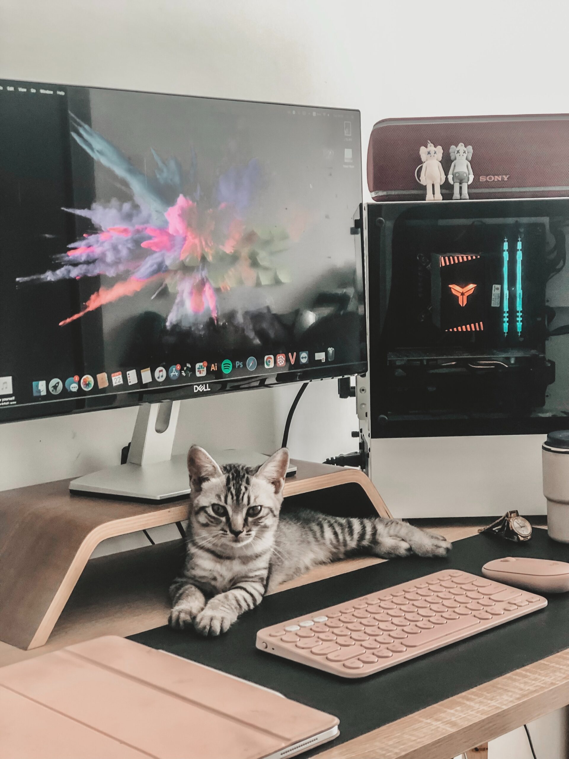 thalia-tran-SfwnUvT0NgI-unsplash